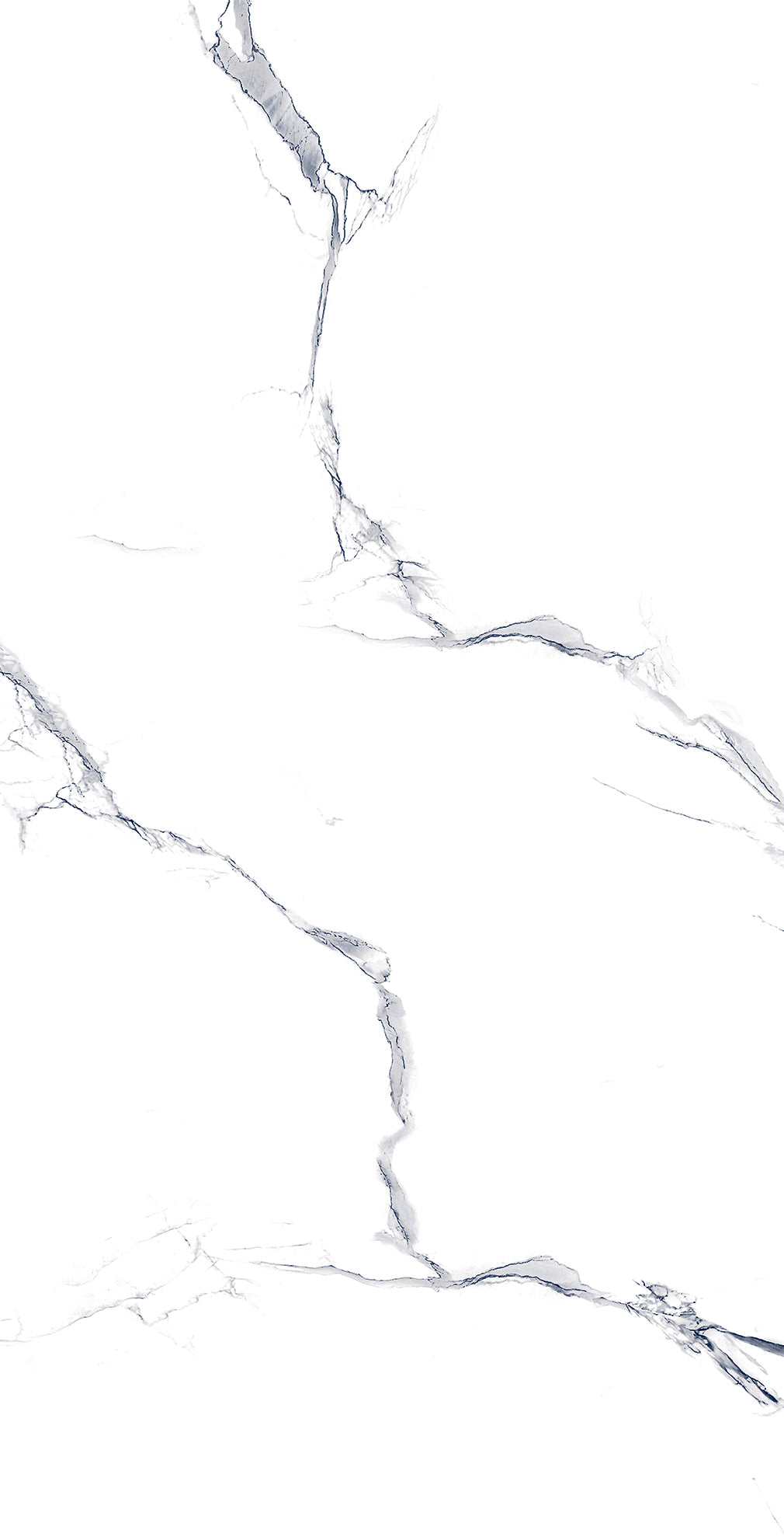 Carrara White 60x60 Porcelain Wall and Floor Tile