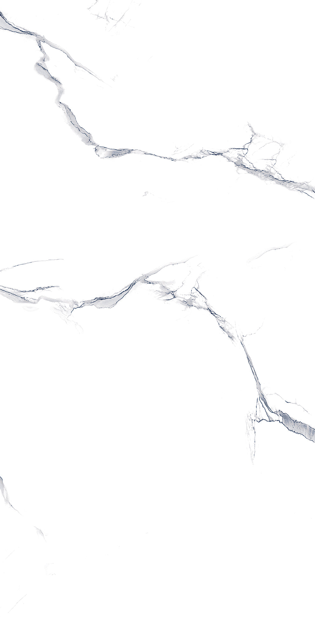 Carrara White 60x60 Porcelain Wall and Floor Tile