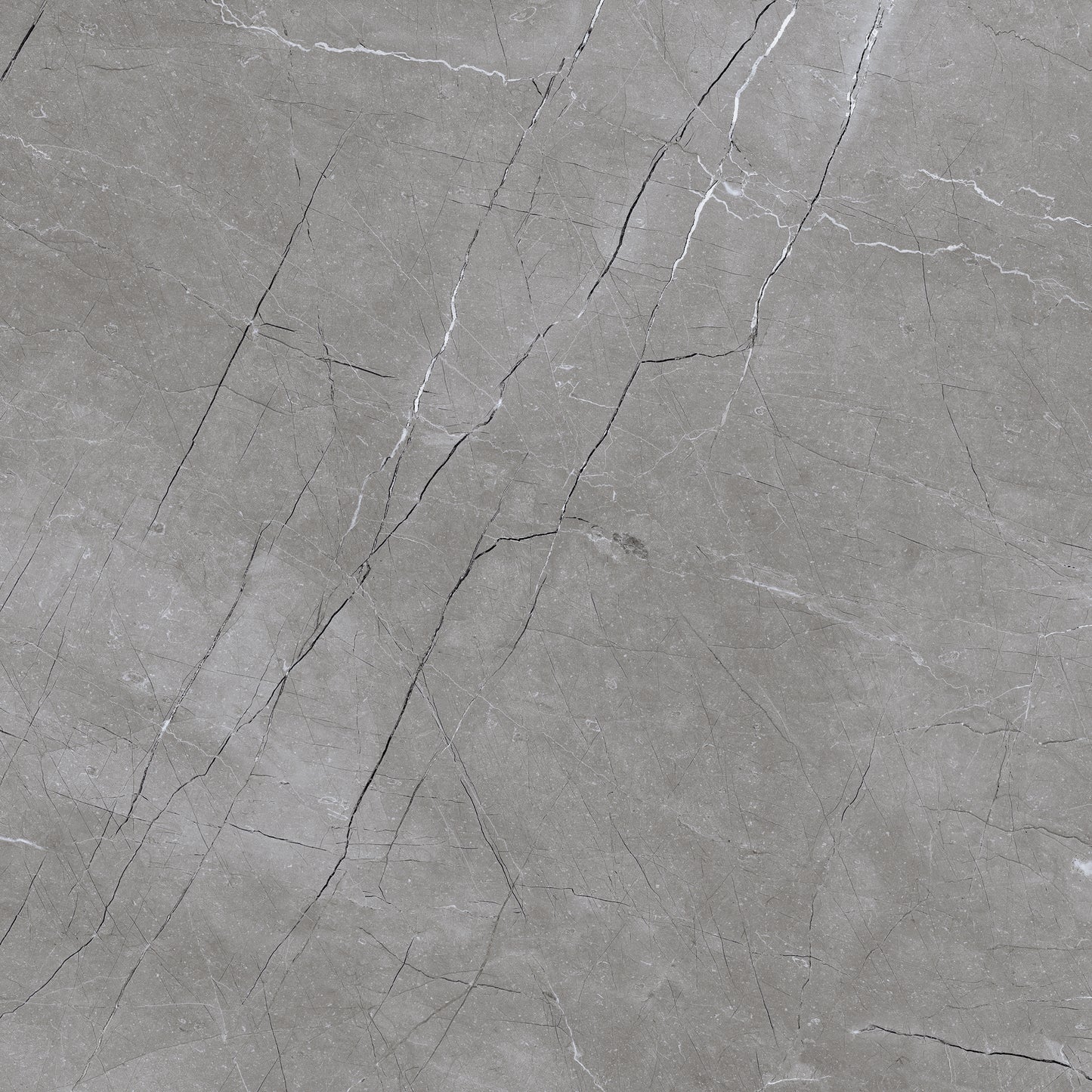 Artic Grey 60x60 Polished Wall and Floor Porcelain Tile