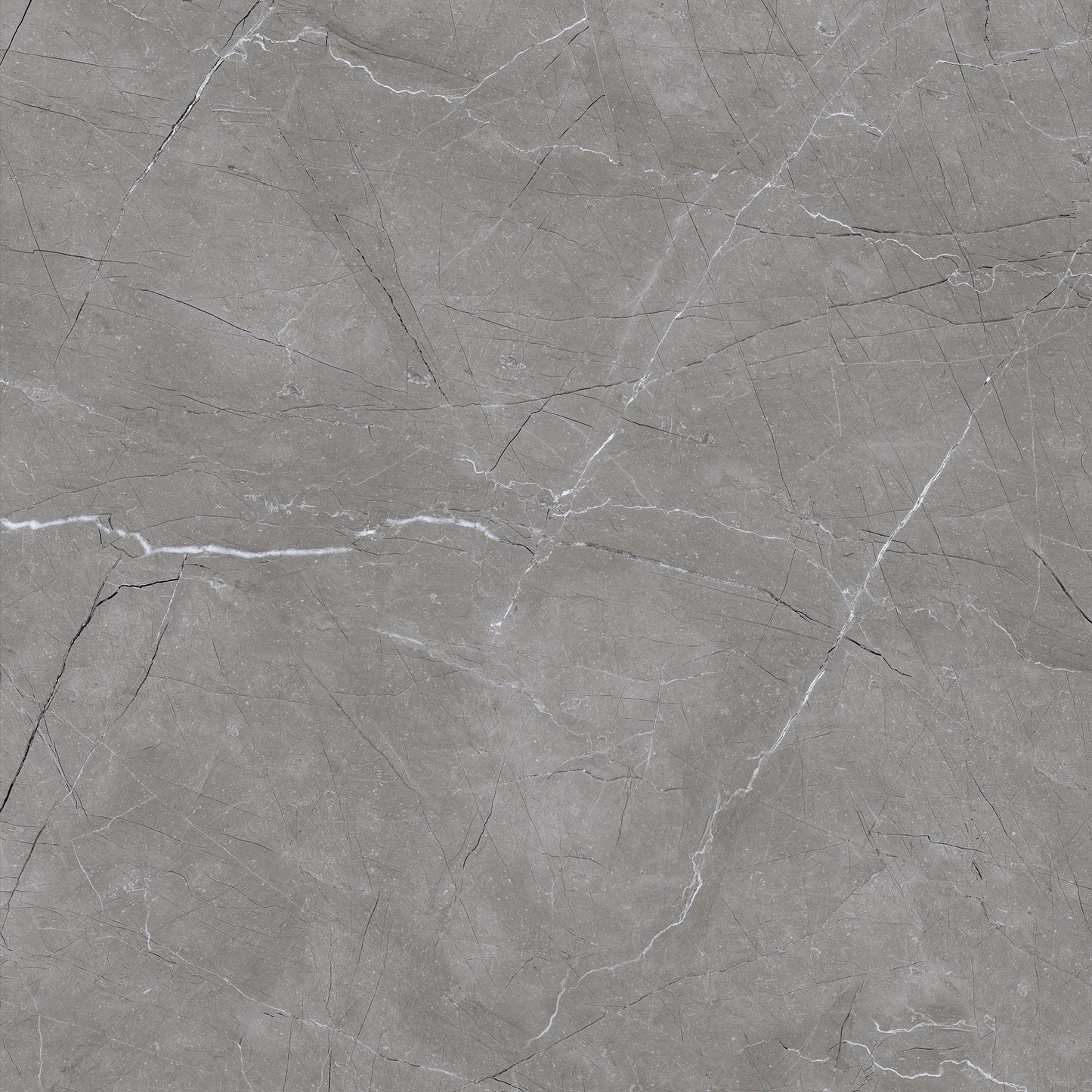 Artic Grey 60x60 Polished Wall and Floor Porcelain Tile