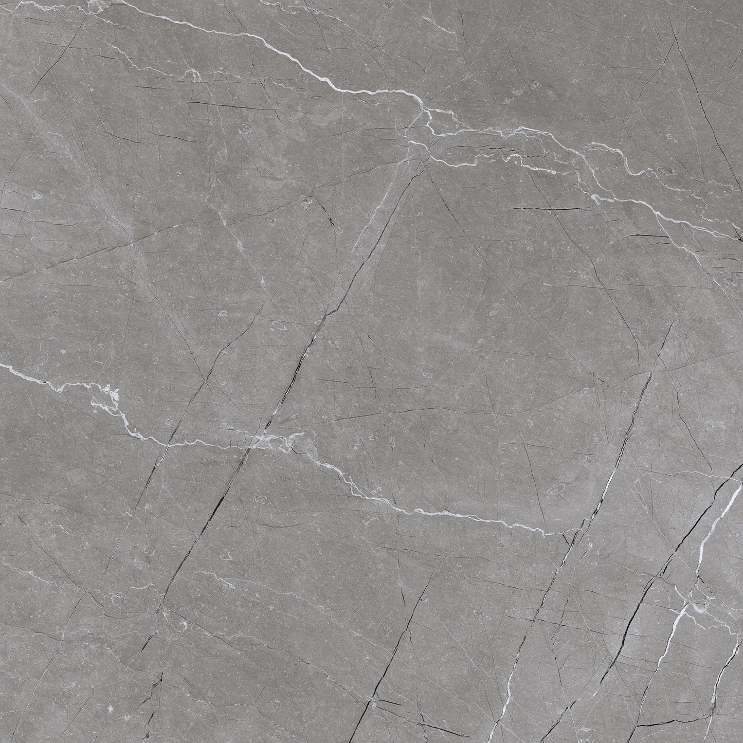 Artic Grey 60x60 Polished Wall and Floor Porcelain Tile
