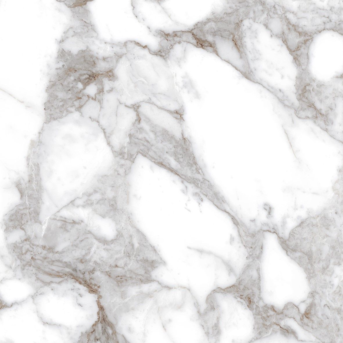 Oro Callacatta 60x60 Porcelain Tile
