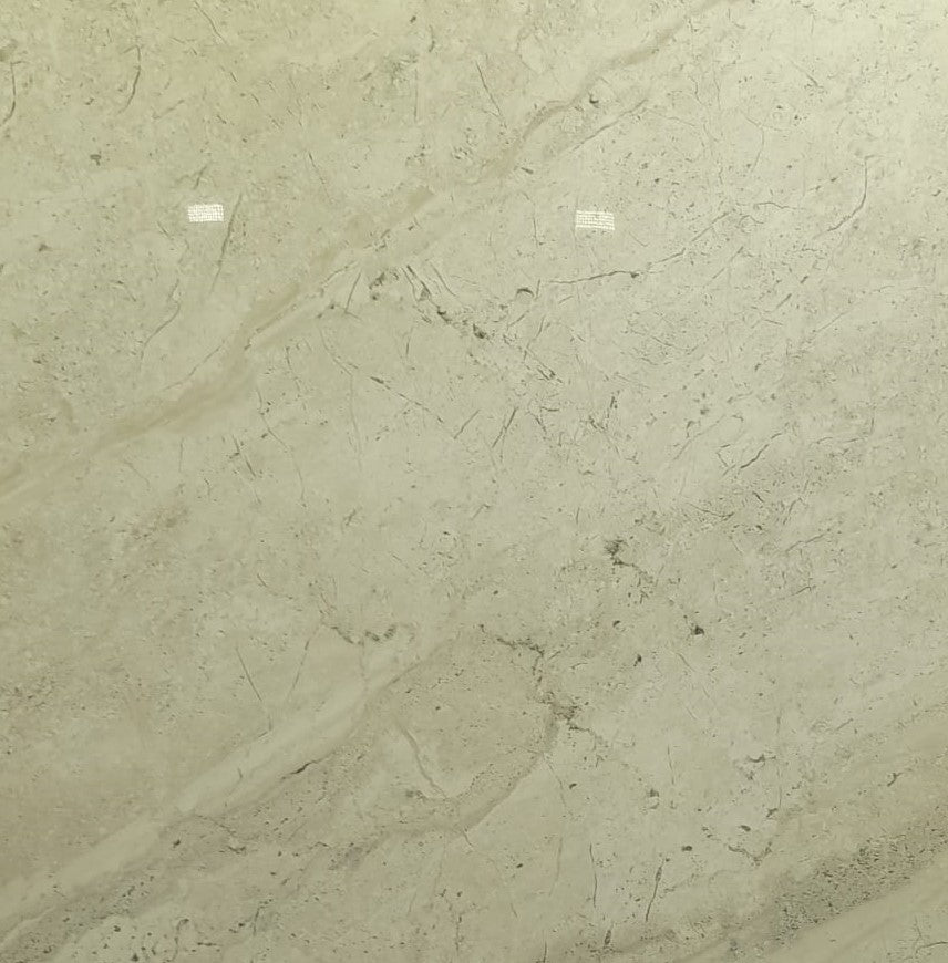Trampoid Ice Polished 60x60