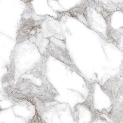 Oro Callacatta 60x60 Porcelain Tile